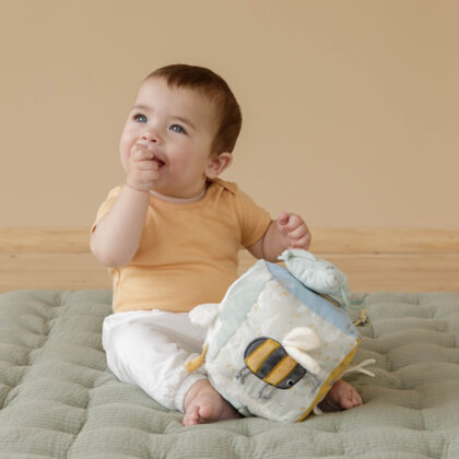 LITTLE DUTCH. Υφασμάτινος κύβος δραστηριοτήτων Little Goose